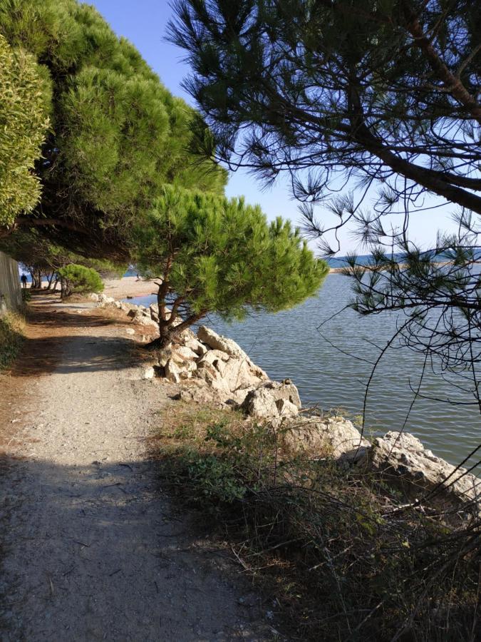 Charmant Appartement A 350M De La Plage Et Du Port Fréjus Εξωτερικό φωτογραφία